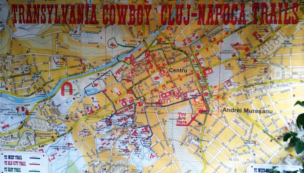 Transylvania Cowboy Cottage Cluj-Napoca Kamer foto